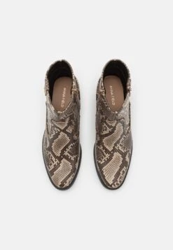 Anna Field Stivaletti Texani / Biker - Multicoloured 13 Anna Field Stivaletti Texani / Biker - Multicoloured -Anna Field 4b872722a054414b94666efa8464626d